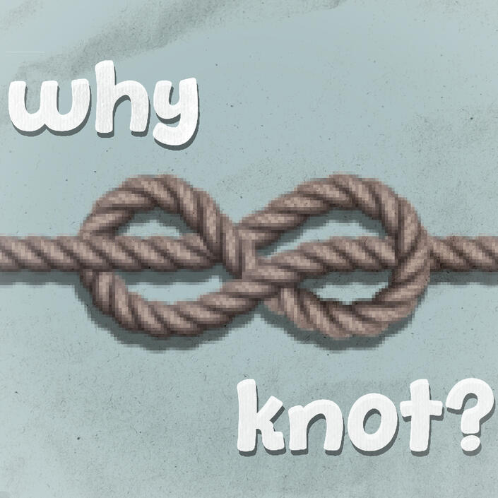 WHY KNOT? web game 2025
